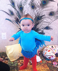 Pretty Peacock Costume
