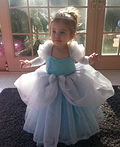 Princess Cinderella Costume