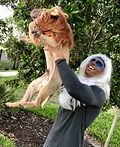 Rafiki and Simba Costume