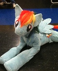 Rainbow Dash Costume