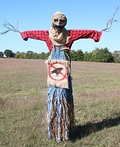 Scarecrow Costume