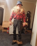 Scarecrow Costume