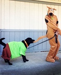 Scooby and Shaggy Costume