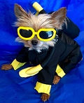 Scuba Dog Costume