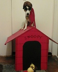 Snoopy The Flying Ace Costume