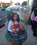 Snow Globe Costume
