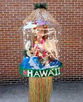Snow Globes - New Orleans and Hawaii Costume