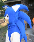 Sonic the Hedgehog Costume