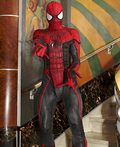 Spiderman Costume
