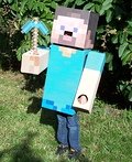 Steve from Minecraft Costume