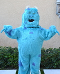 Sully Costume