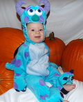 Sully from Monsters Inc. Costume