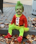 The Grinch Homemade Costume | Best DIY Costumes