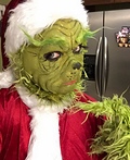 The Grinch Costume
