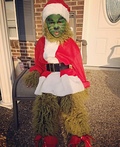 The Grinch who Stole Christmas Costume