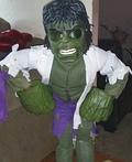 The Incredible Hulk Costume