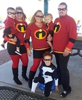 The Incredibles Costume
