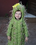 The Little Cactus Costume