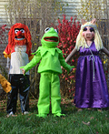 Muppets Costume