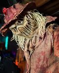 The Scarecrow Costume
