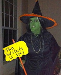 The Witch Is In Costume