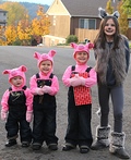Three Little Pigs and Big Wolf Costume