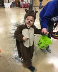 Toddler Porcupine Costume