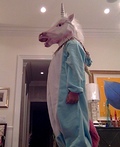 Unicorn Costume