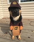 UPS Worker Costume