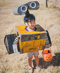 WALL-E Costume
