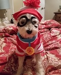 Where's Waldo? Costume