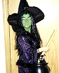 Wicked Witch of the West from the Wizard of Oz Homemade Halloween Costumes