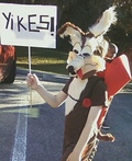 Wile E. Coyote Costume
