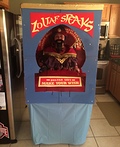 Zoltar Machine Costume