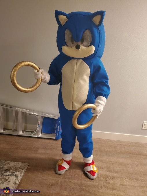Sonic & Tails Costume - Photo 4/5