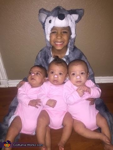 3 Little Pigs and The Big Bad Wolf Costume
