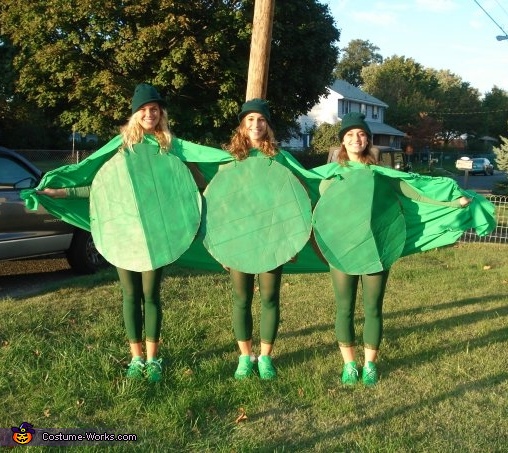 3 Peas in a Pod Costume
