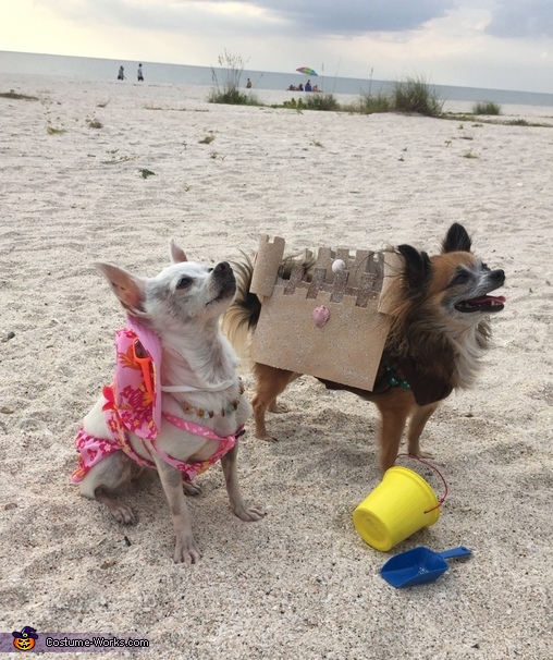 A day at the Beach Costume