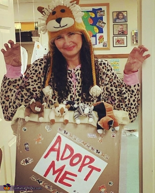 Adoptable Cat and Kittens in a Box Costume