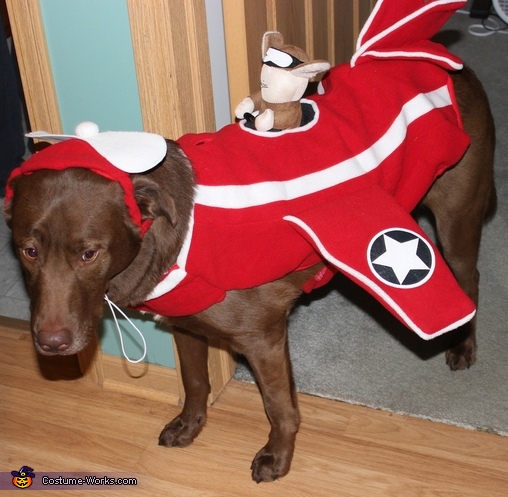 Airplane with Squirrel Fighter Pilot Dog Costume