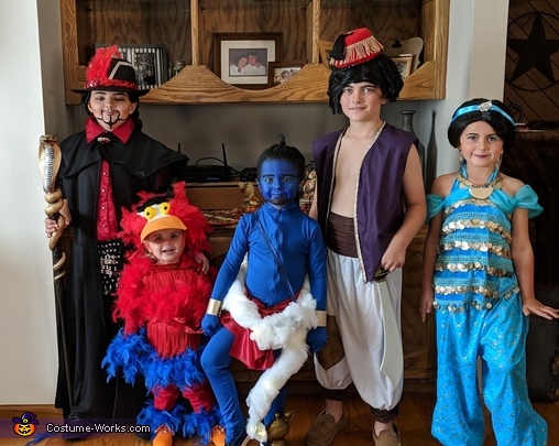 Aladdin Characters Costume