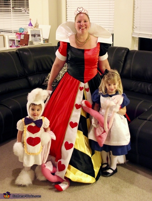 Alice in Wonderland Costume