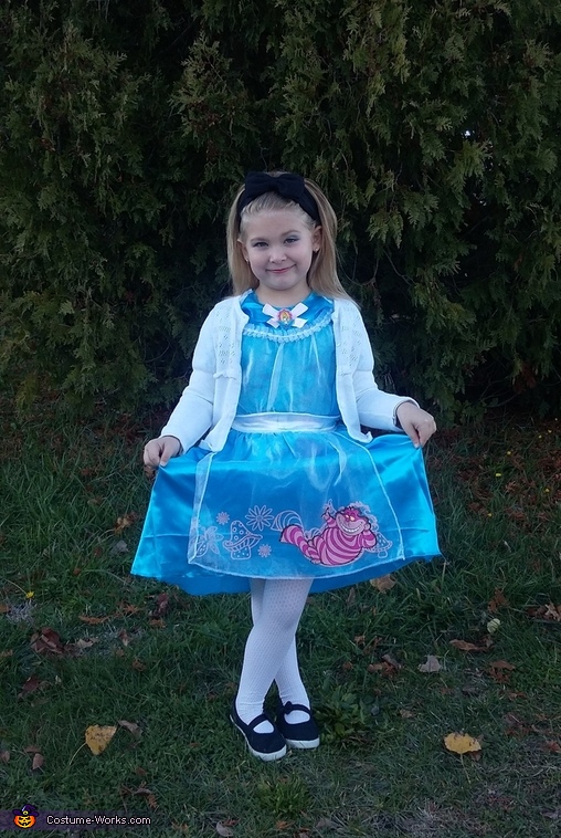 Alice in Wonderland Costume