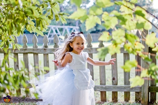 Alice in wonderland hot sale flower girl dresses