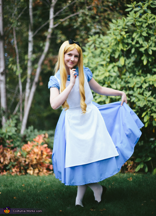Homemade Alice In Wonderland Adult Costume Original Diy Costumes