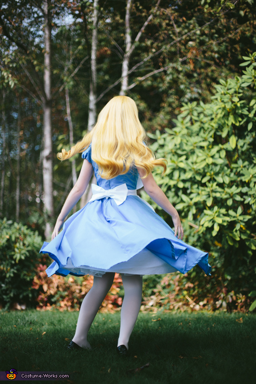 Homemade Alice in Wonderland Adult Costume | Original DIY Costumes ...
