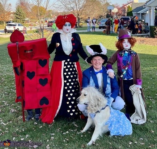 Alice in Wonderland Family Costume