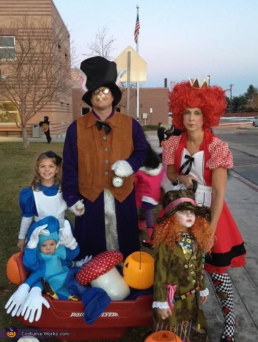 Alice in Wonderland Family Costume | DIY Costumes Under $65