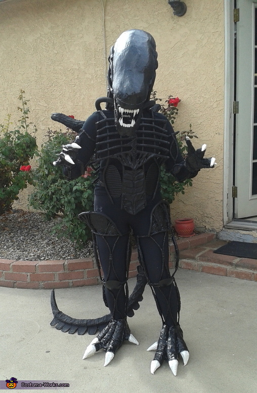 Creative Homemade Alien Costume