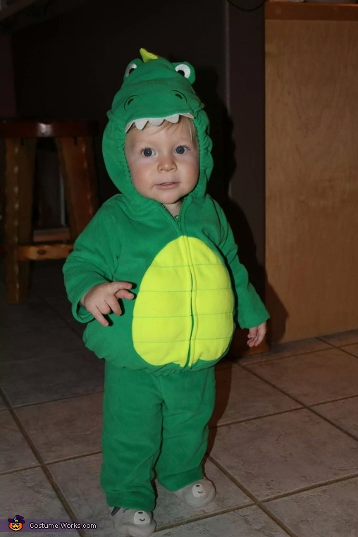 Alligator Baby Costume